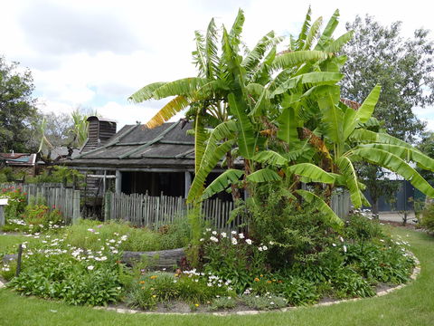Gold Coast Historical Museum Inc - Melbourne Tourism 0