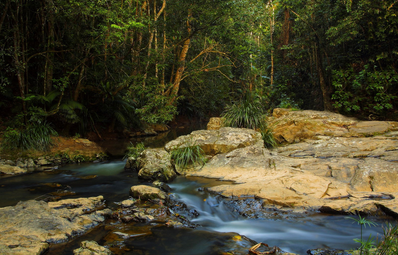 Tropical North Queensland QLD Melbourne Tourism