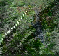 Mapleton Falls National Park - Melbourne Tourism