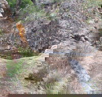 Mill-bullah Walking Track - Melbourne Tourism