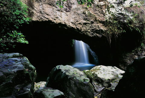 Natural Bridge Circuit, Springbrook National Park - Melbourne Tourism 0