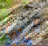 Queens Park Waterfall - Melbourne Tourism