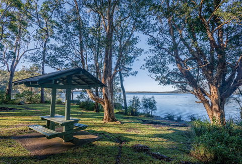 Queens Lake Picnic Area - Melbourne Tourism 0