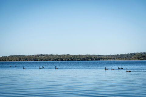 Queens Lake Picnic Area - Melbourne Tourism 1