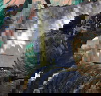 Skirmish Sunshine Coast Outdoor Paintball - Melbourne Tourism