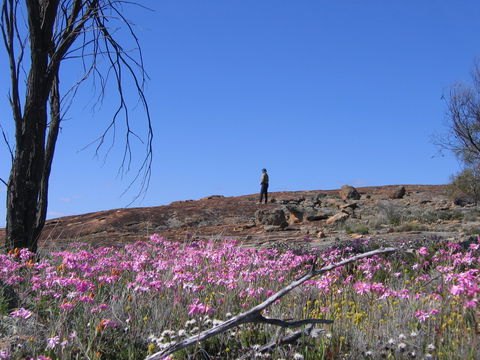 Talgomine Reserve - Melbourne Tourism 0