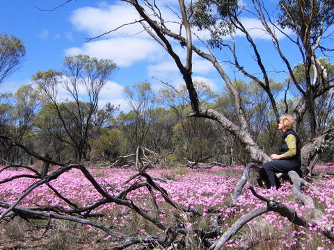 Talgomine Reserve - Melbourne Tourism 1