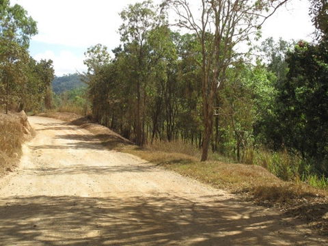 The Bloomfield Track - Melbourne Tourism 0