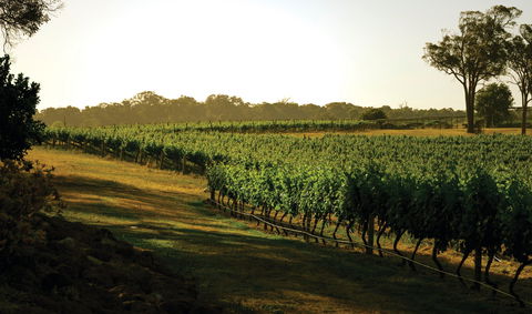 The South West Nature And Wine Drive - Melbourne Tourism 0