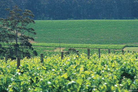 The South West Nature And Wine Drive - Melbourne Tourism 2