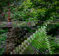 Thunderbird Park  - Tamborine Mountain Gold Coast Region - Melbourne Tourism