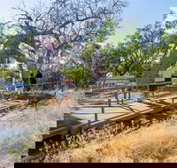 Timber Creek - Melbourne Tourism