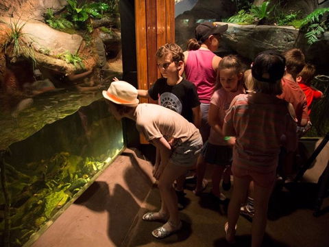 Walkabout Creek Discovery Centre - Melbourne Tourism 2