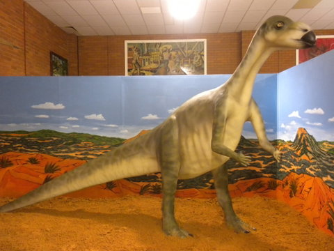 Wentworth Pioneer Museum - Melbourne Tourism 1