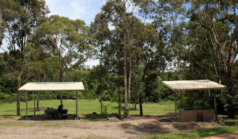 Back Creek Picnic Area - Melbourne Tourism 0