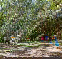 Ballina Disc Golf - Melbourne Tourism