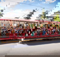 Bendigo Tramways Vintage Talking Tram - Melbourne Tourism