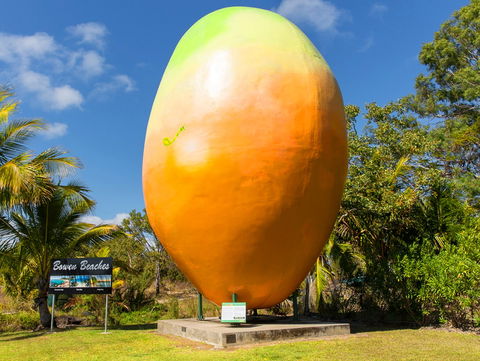 Big Mango - Melbourne Tourism 0