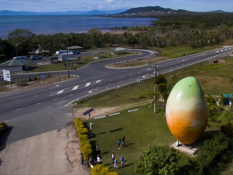 Big Mango - Melbourne Tourism 1