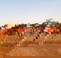 Broken Hill Camels - Melbourne Tourism