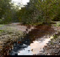 Budawang National Park - Melbourne Tourism