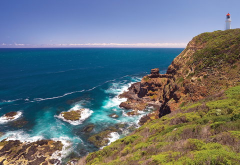 Bushrangers Bay Walking Track - Melbourne Tourism 0