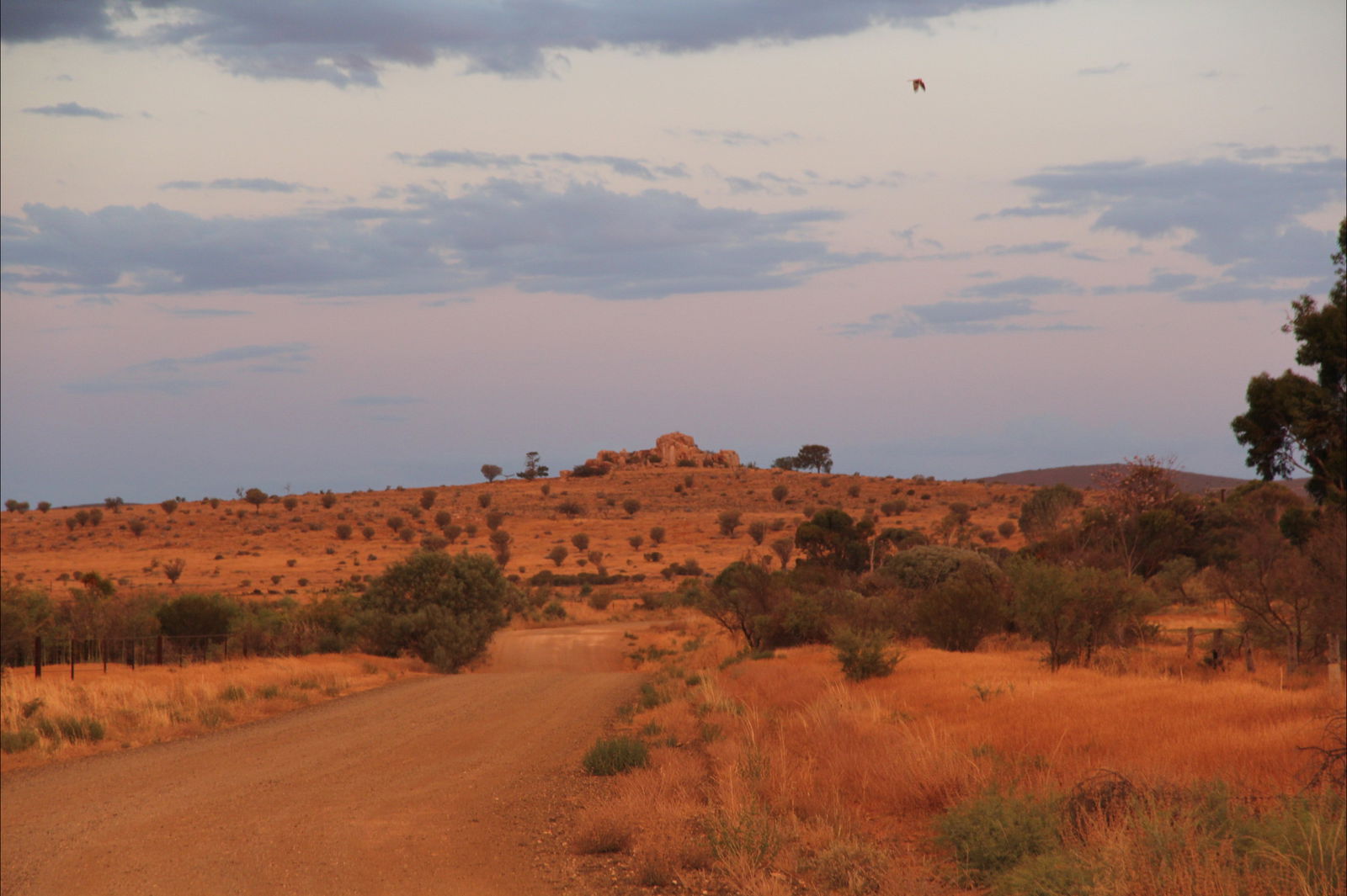 Arkaroola Village SA Melbourne Tourism