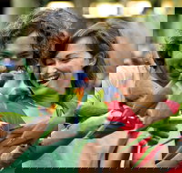 Currumbin Wildlife Sanctuary - Melbourne Tourism