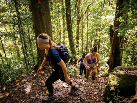 Devils Thumb (Manjal Jimalji) Trail - Melbourne Tourism 0