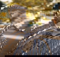 Evandale - Melbourne Tourism