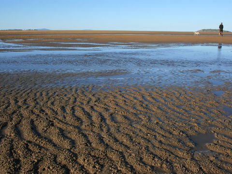 Far Beach - Melbourne Tourism 1