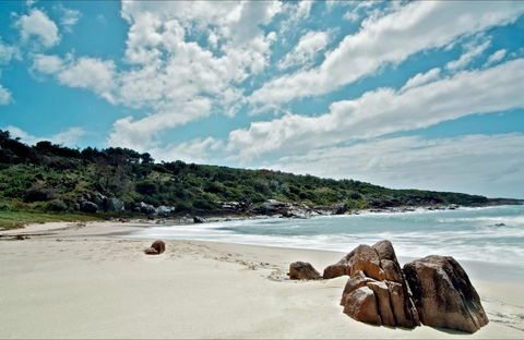 Fishermans Bay Foreshore - Melbourne Tourism 0
