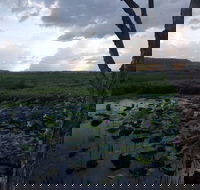 Fogg Dam Conservation Reserve - Melbourne Tourism