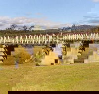 Historic Tabulam DeBurgh Timber Bridge - Melbourne Tourism