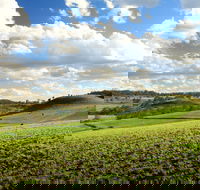 Hodgson Vale - Melbourne Tourism