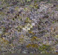 Horsnell Gully and Giles Conservation Parks - Melbourne Tourism