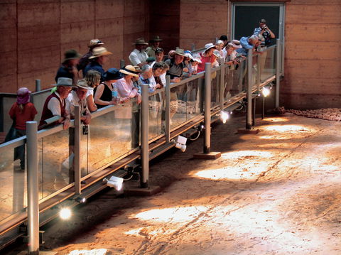 Lark Quarry Conservation Park - Melbourne Tourism 0