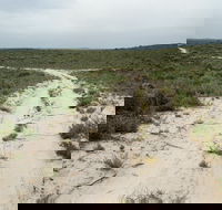 Ngarkat Conservation Park - Melbourne Tourism