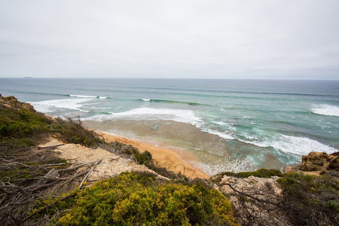 Ocean Grove Main Beach - Melbourne Tourism 1