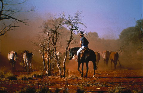 Outback Heritage And Coal Adventure - Melbourne Tourism 0