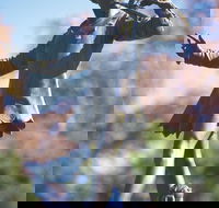 Queens Gardens - Melbourne Tourism