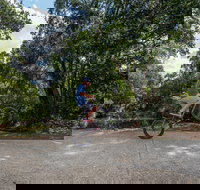 Samford Valley Rail Trail - Melbourne Tourism