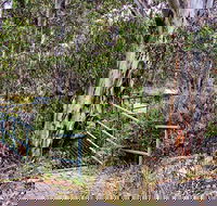 Sawpit Walking Track - Melbourne Tourism