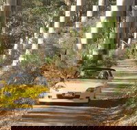 Scotsdale Tourist Drive - Melbourne Tourism