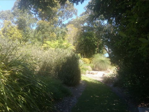 Shoalhaven Heads Native Botanic Garden - Melbourne Tourism 2