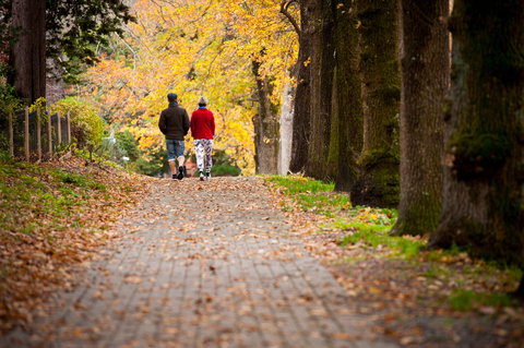 Stirling - Melbourne Tourism 2