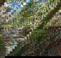 Thylogale Track - Melbourne Tourism