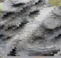 Windara Reef - Melbourne Tourism