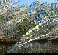 Wongi State Forest - Melbourne Tourism
