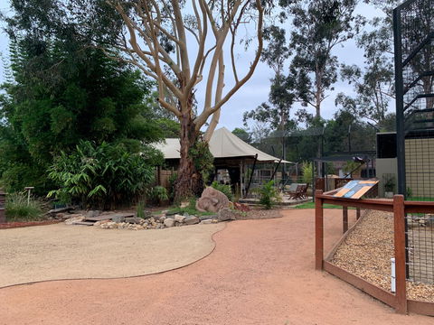 Zambi Wildlife Retreat - Melbourne Tourism 2